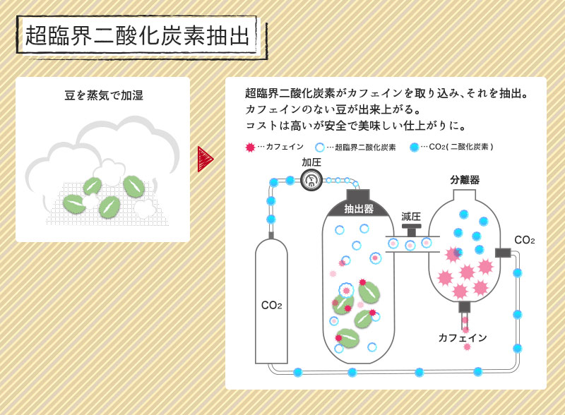 超臨界二酸化炭素