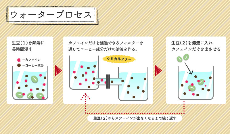 ウォータープロセス